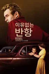 이유 없는 반항