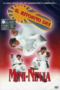 Il ritorno dei Mini-Ninja