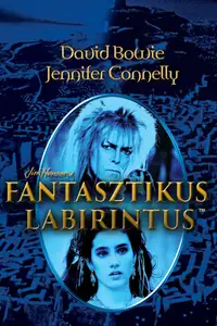 Fantasztikus labirintus