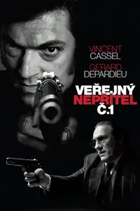 Veřejný nepřítel č. 1