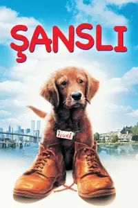 Şanslı