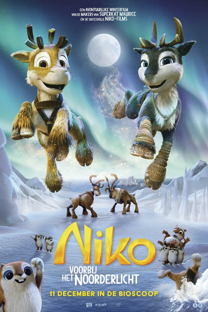 Niko voorbij het noorderlicht