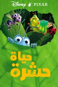 حياة حشرة