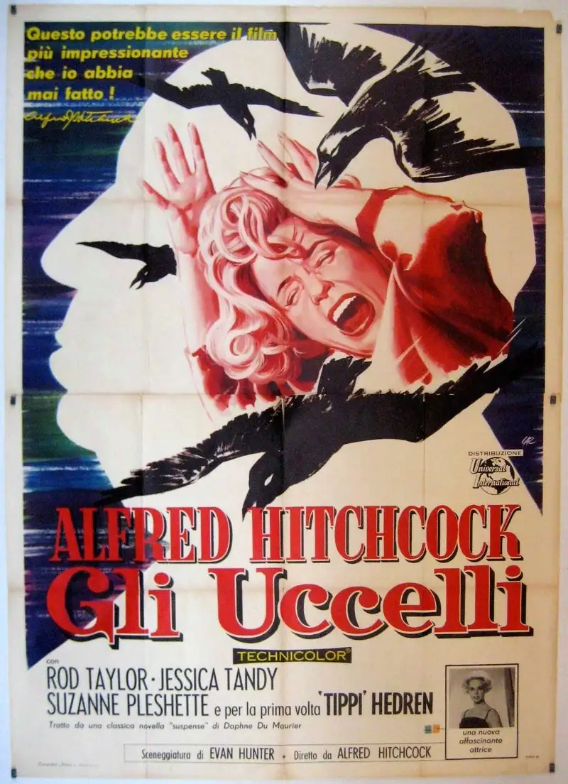 Gli uccelli