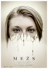 Mežs