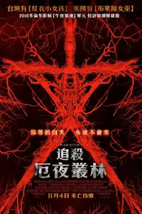 布莱尔女巫