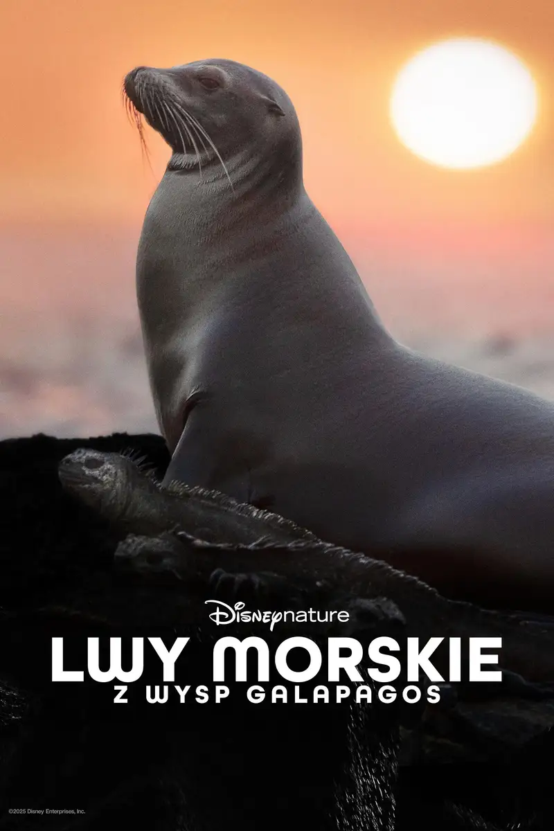 Lwy morskie z wysp Galapagos