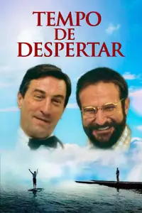 Despertares