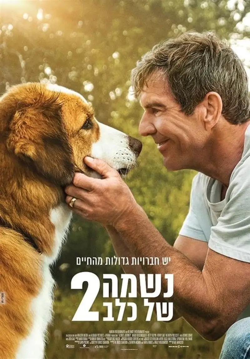 נשמה של כלב 2