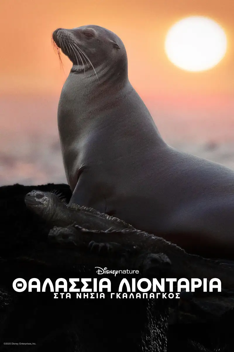 Θαλάσσια Λιοντάρια στα Νησιά Γκαλαπάγκος
